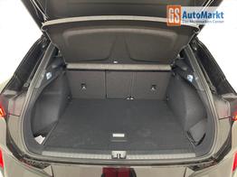 Cupra Terramar VZ 2.0 TSI 265PS/195kW 4x4 DSG7 2025 *+20" Alu +AHK +PANO +Matrix +NAVI +Top-View +DCC +IMMERSIVE* 