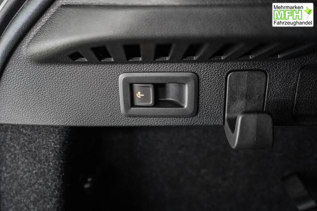 Skoda Kamiq 1,0 TSI DSG Selection - LAGER 