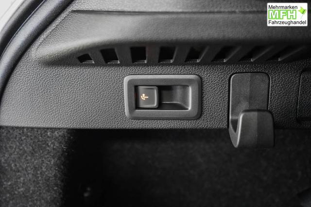 Skoda Kamiq 1,0 TSI DSG Selection - LAGER 