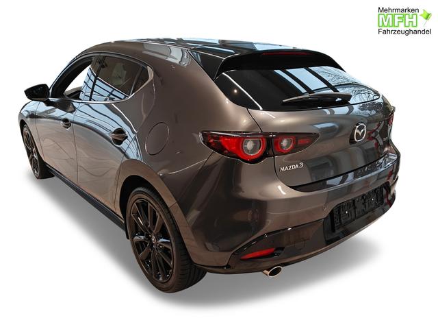 Beispielbilder, ggf. teilweise mit Sonderausstattung