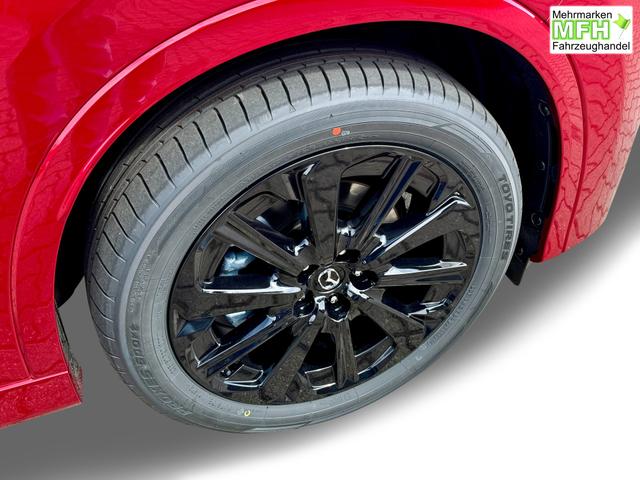 Beispielbilder, ggf. teilweise mit Sonderausstattung