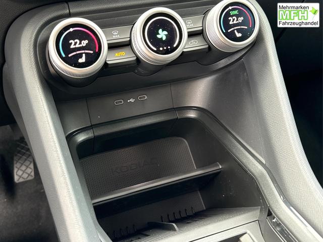 Skoda / Kodiaq / Grau / / / DSG+NAVI+19'' ALU+ACC+KAMERA