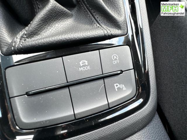 Skoda / Kamiq / Grau / / / DSG+ACC+SHZ+RFK+PDC+KESSY+SUNSET