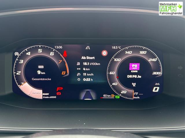 Cupra / Formentor / Grau / / / KAMERA+EL. HECKKL.+VOLL-LED+ACC+18 LM+SHZ