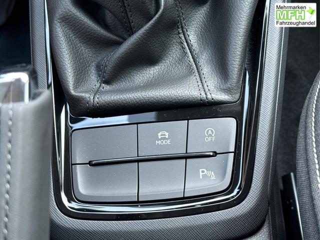 Skoda / Kamiq / / / / DSG+ACC+SHZ+RFK+PDC+KESSY+SUNSET