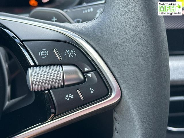 Skoda / Kamiq / / / / DSG+ACC+SHZ+RFK+PDC+KESSY+SUNSET