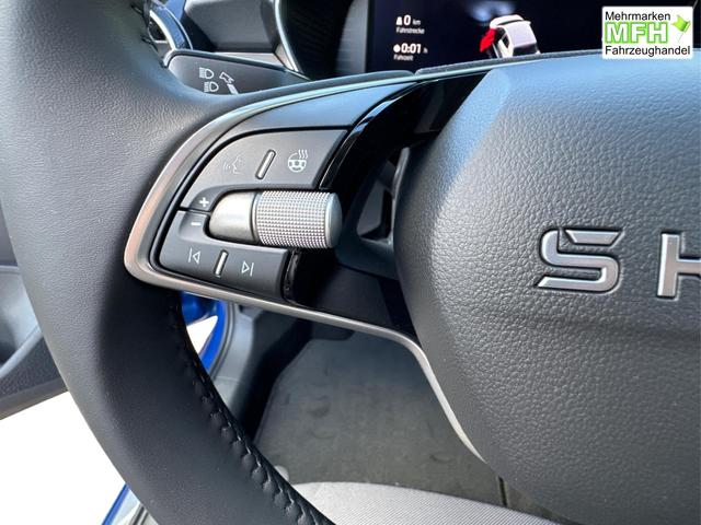 Skoda / Fabia / / / / ACC+SHZ+KAMERA+PDC+LED