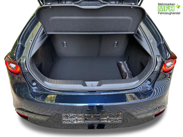 Beispielbilder, ggf. teilweise mit Sonderausstattung