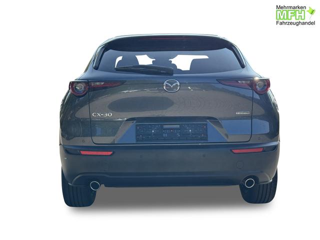 Mazda CX-30 Nagisa LEDER+BOSE+HUD+NAVI+SHZ+KAMERA+LED+18" 