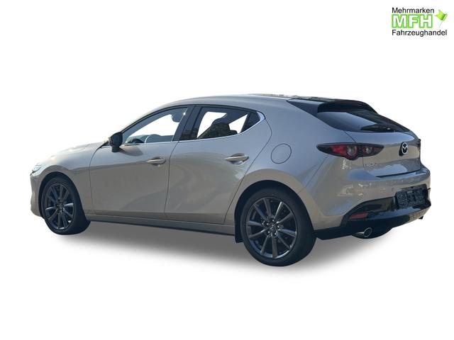 Beispielbilder, ggf. teilweise mit Sonderausstattung