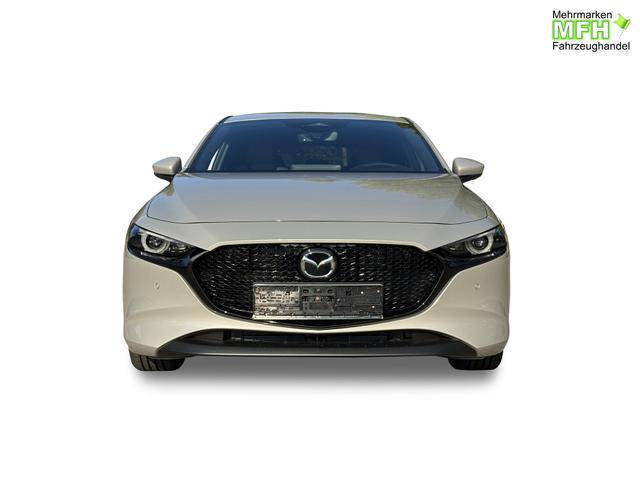 Beispielbilder, ggf. teilweise mit Sonderausstattung