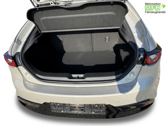 Beispielbilder, ggf. teilweise mit Sonderausstattung