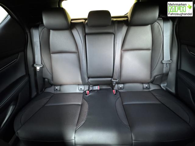 Beispielbilder, ggf. teilweise mit Sonderausstattung