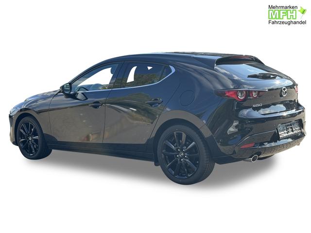 Beispielbilder, ggf. teilweise mit Sonderausstattung