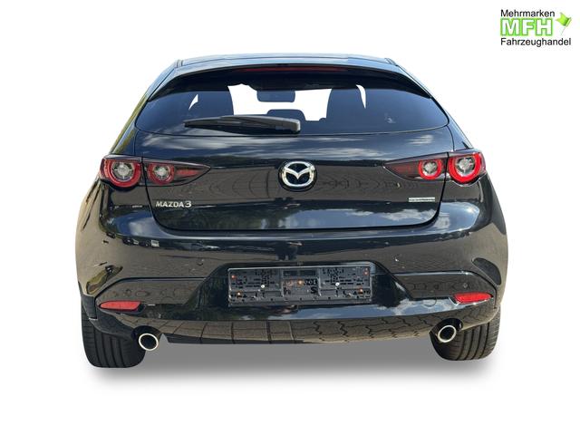 Beispielbilder, ggf. teilweise mit Sonderausstattung