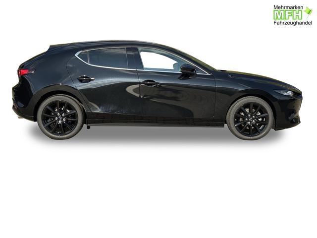 Beispielbilder, ggf. teilweise mit Sonderausstattung