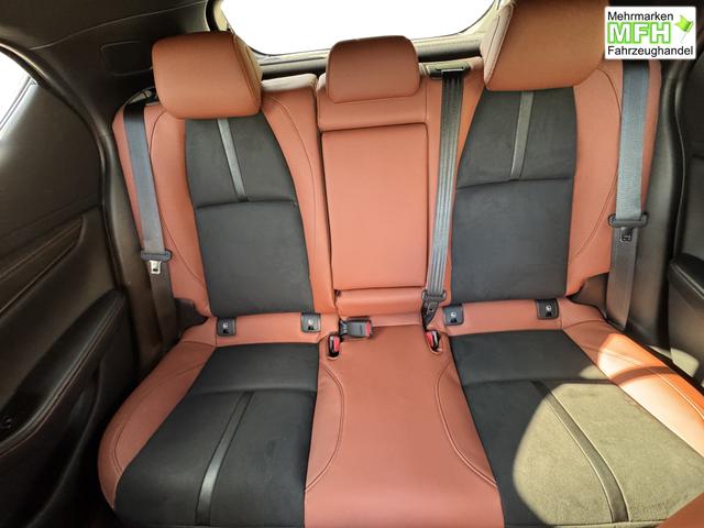 Beispielbilder, ggf. teilweise mit Sonderausstattung