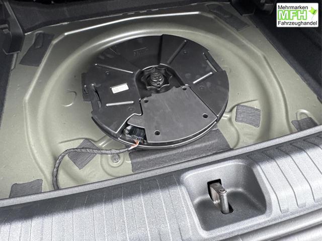 Cupra / Terramar / Grau / / / 4Drive SENNHEISER+MATRIX+MEMORY+KAM+LED+ACC+EL.HECKKL.