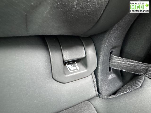 Cupra / Terramar / Grau / / / 4Drive SENNHEISER+MATRIX+MEMORY+KAM+LED+ACC+EL.HECKKL.