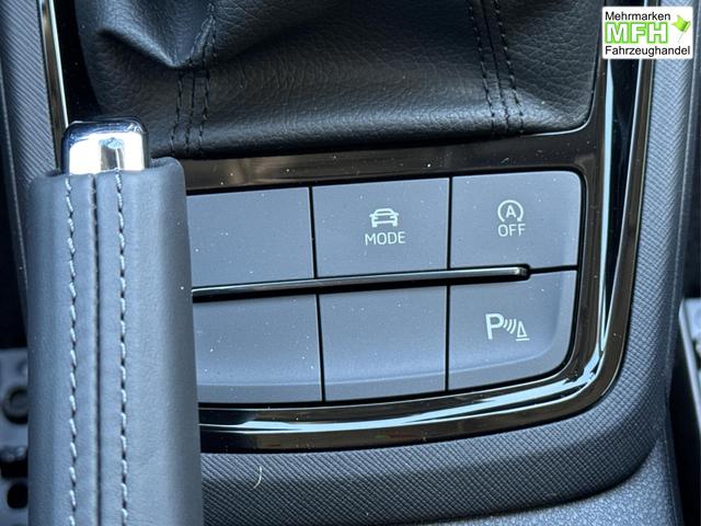 Skoda / Kamiq / Grau / / / SHZ+KAMERA+SMARTLINK+PDC+LED+16 ALU, Bei den verwendeten Bildern kann es sich um Beispielbilder handeln, ggf. teilweise mit Sonderausstattung.