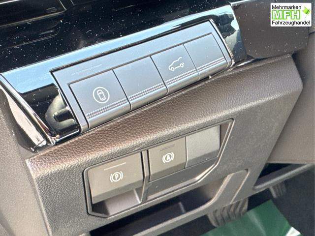 Renault / Austral / Schwarz / / / NAVI+LED+KAMERA+elektr.HECKKL.+19LM
