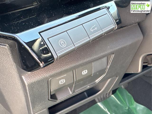 Renault / Austral / Grau / / / NAVI+LED+KAMERA+elektr.HECKKL.+19LM