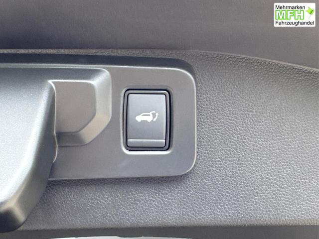 Renault / Austral / Grau / / / NAVI+LED+KAMERA+elektr.HECKKL.+19LM