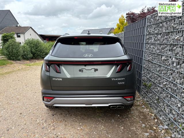 Hyundai TUCSON HEV Pano 19" EHK Pine Green Matte 