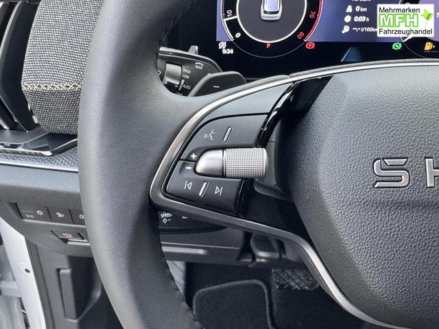 Skoda Kodiaq 2.0 TSI 4x4 kaufen