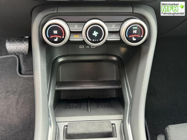 Skoda Kodiaq Grau 2.0 TSI 4x4 kaufen 