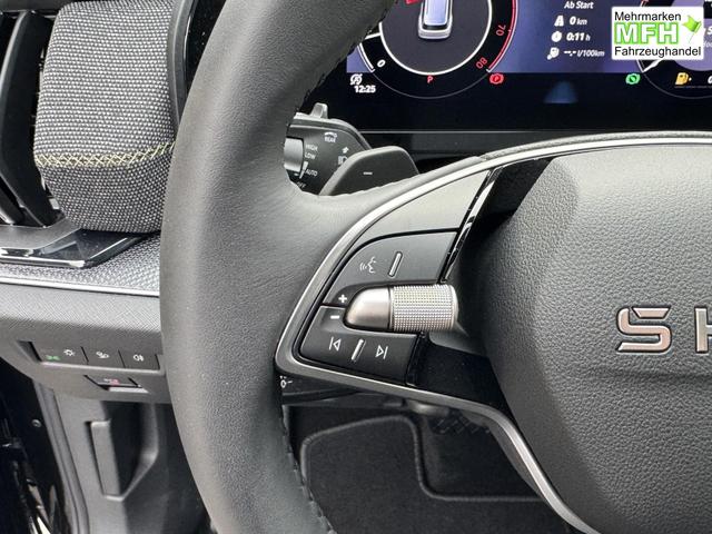 Skoda Kodiaq schwarz 2.0 TSI 4x4 kaufen 