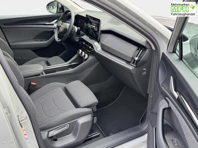 Skoda Kodiaq Grau 2.0 TSI 4x4 kaufen 