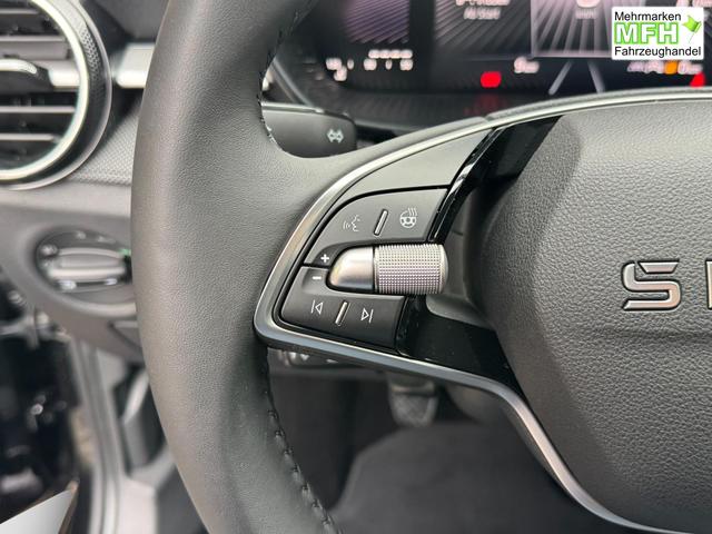 Reimport Skoda Fabia 1,0 TSI Extra Plus 2 ZoKlima ACC Navi 2x Einparkhilfe Kessy