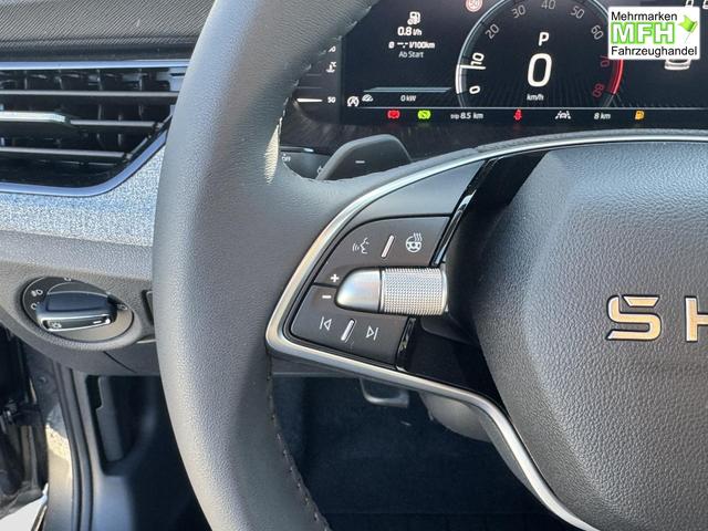Reimport Skoda Kamiq DSG kaufen