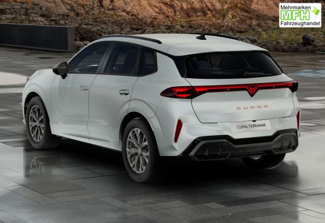 Cupra Terramar DSG IntelliD Dinamica Edge 360&deg; eHk ACC 