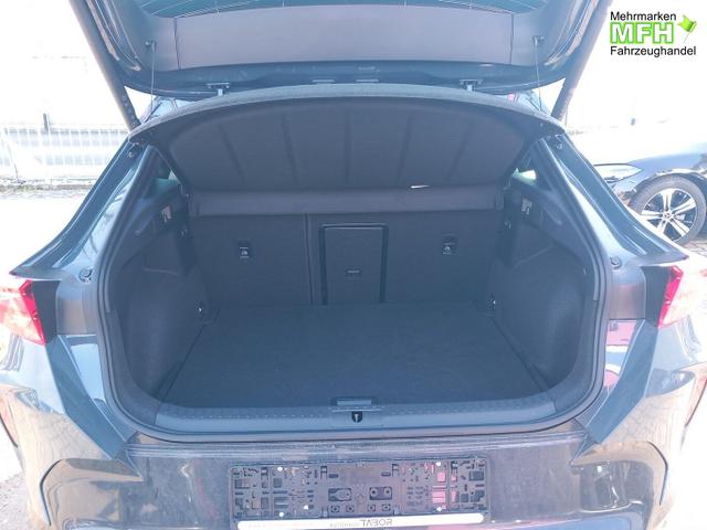 Cupra Formentor VZ 2.0 TSI 333 Matrix Memory eHk SHZ 