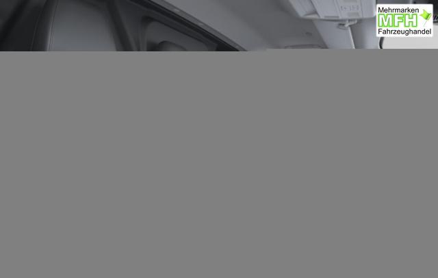 Ford Transit Custom Trail Aut AWD L1 Nav SHZ 17Z 3-S 