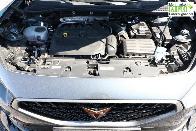 Cupra Formentor 1.5 TSI 150 DSG LED Nav ACC PDC SHZ 