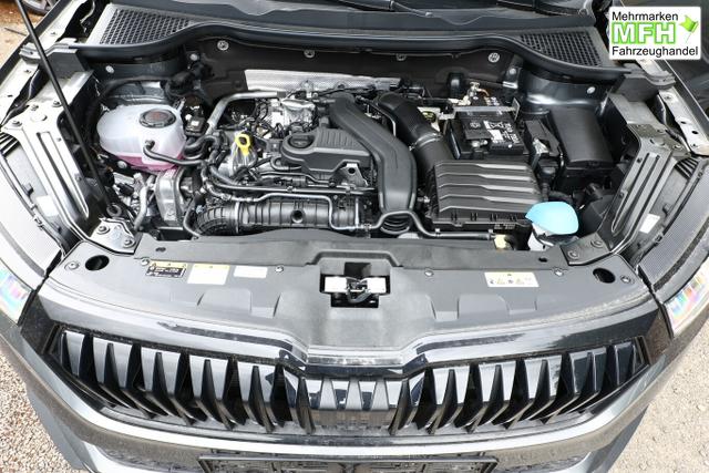 Skoda Karoq Sportline DSG Sportl AHK 19Z Matrix Nav 360&deg; Canton 