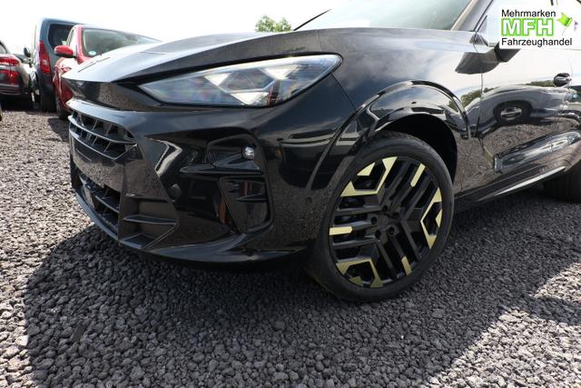 Cupra Terramar Tribe Edition DSG HeadUp 360&deg; Sennh el.Hk ParkA 