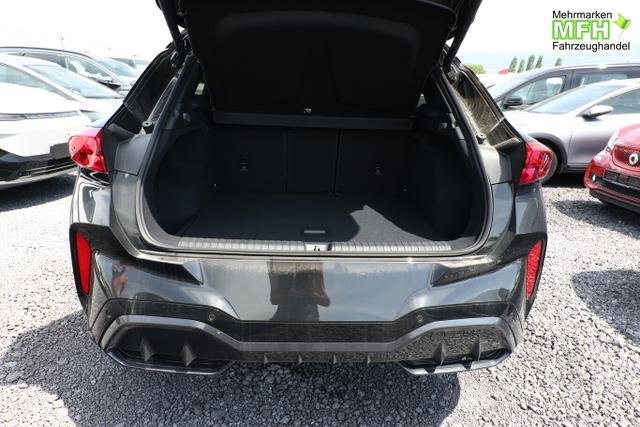 Cupra Terramar Tribe Edition DSG HeadUp 360&deg; Sennh el.Hk ParkA 