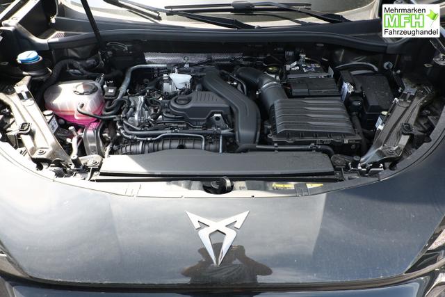 Cupra Terramar Tribe Edition DSG HeadUp 360&deg; Sennh el.Hk ParkA 