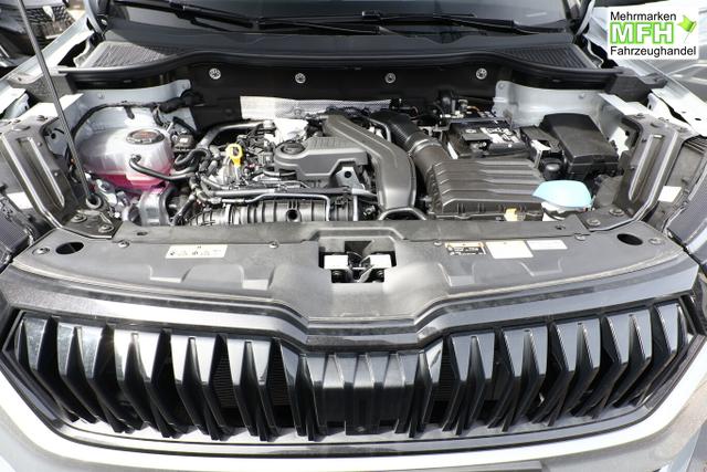 Skoda Karoq Sportline DSG Sportl Pano Matrix Nav 360&deg; Canton ACC 