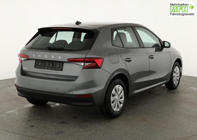 Skoda Fabia Selection 1.0 TSI Selection, Tempomat, Park, Winterpaket, SmartLink, 4-J Garantie 