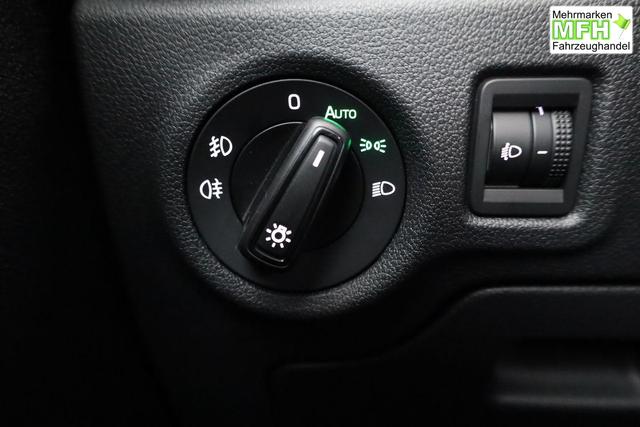 Skoda Fabia Selection 1.0 TSI Selection, Tempomat, Park, Winterpaket, SmartLink, 4-J Garantie 