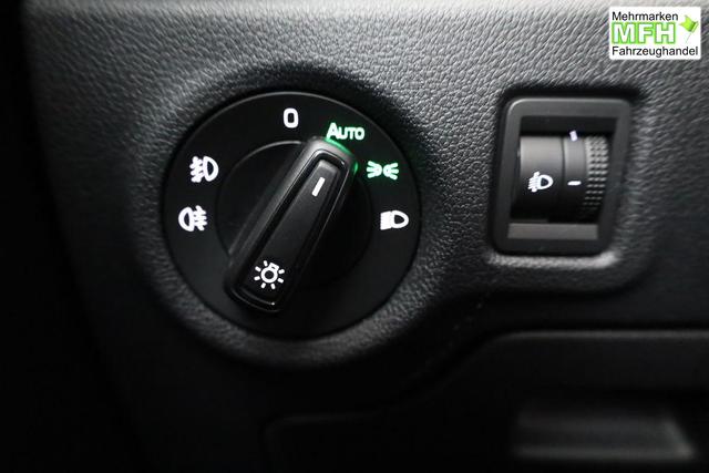 Skoda Fabia Selection 1.0 TSI Selection, Tempomat, Park, Winterpaket, SmartLink, 4-J Garantie 