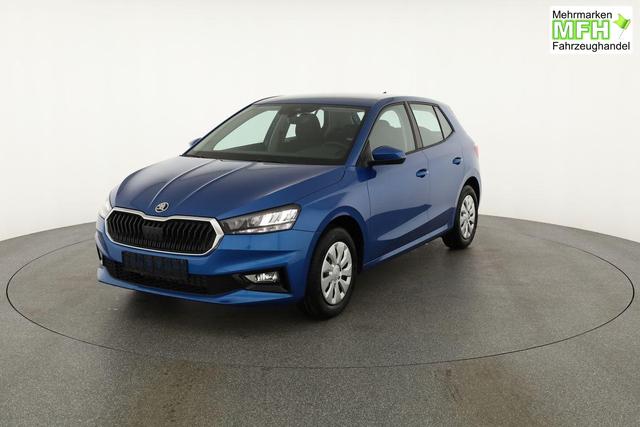 Skoda Fabia Selection 1.0 TSI Selection, Tempomat, Ladeboden, Park, Winterpaket, SmartLink, 4-J Garantie 