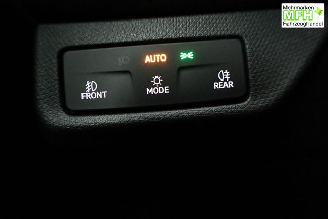 Cupra Terramar 2.0 TSI 195 kW 4Drive America's Cup Limited Edition DSG Americas CUP, HD-Matrix, Leder, Sennheiser, 5-J Garantie 