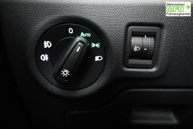 Skoda Fabia Selection 1.0 TSI Selection, Park, Winterpaket, SmartLink, 4-J Garantie 