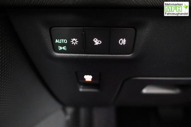 Skoda Kodiaq 2.0 TDI 142kW 4x4 Selection DSG Selection, AHK, Navi, Side, el. Klappe, AreaView, ParkAssist 